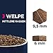 Eukanuba Welpenfutter mit frischem Huhn für mittelgroße Rassen, Premium Trockenfutter für Junior Hunde, 3 kg