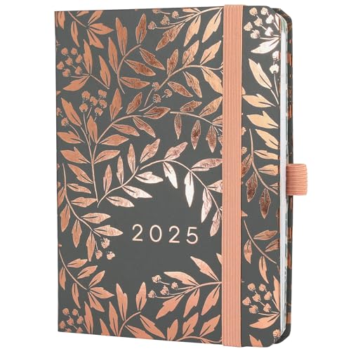 Boxclever Press Everyday 2025 Diary with Dotted Note Pages. Gifts For Women Luxury Diary 2025 Week to View Jan - Dec'25. Weekly Planner & Notebook In One! Boxclever Diary 2025-17 x 12.5cm Boxclever Press Everyday 2025 Diary with Dotted Note Pages. Gifts For Women Luxury Diary 2025 Week to View Jan - Dec'25. Weekly Planner & Notebook In One! Boxclever Diary 2025-17 x 12.5cm