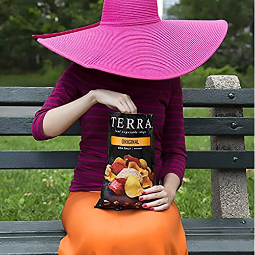 Terra Vegetable Chips, Original With Sea Salt, 6.8 Oz. (Pack Of 12) #TOP4