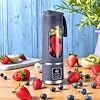 Portable Blender for shakes and Smoothies (Purple)