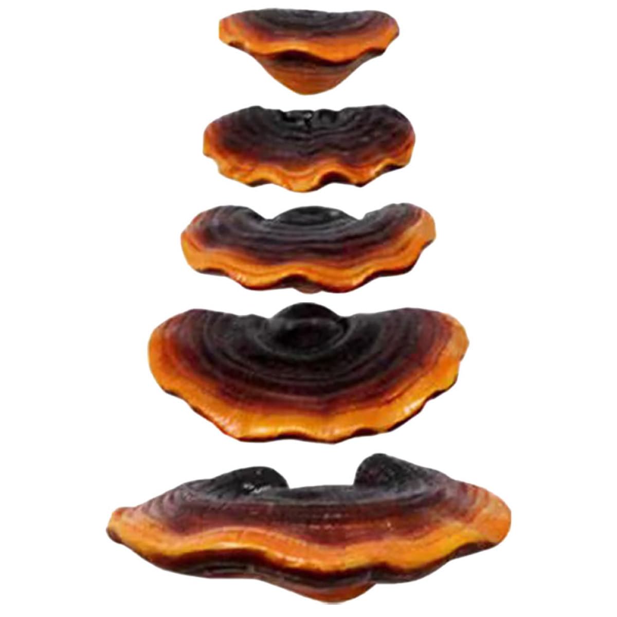 Figurines de Champignons Ganoderma pour créer un sous-bois féerique dans votre jardin d'hiver