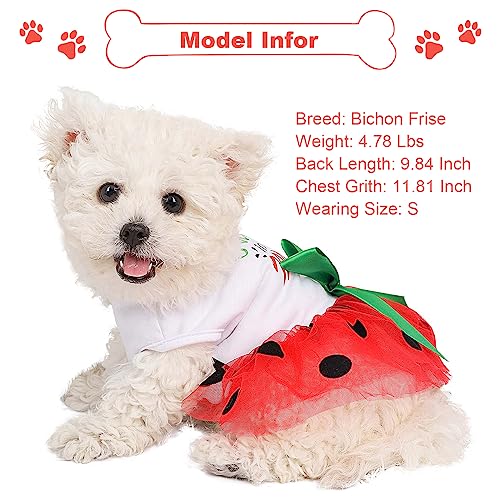 Dog Clothes For Small Dogs Girl,Dog Dress Shirt Puppy Dog Clothes For Small Dogs Girl,Dog Tulle Dress,Summer Dog Clothes For Small Dogs Girl,Dog Birthday Dresses Cat Dress #TOP2