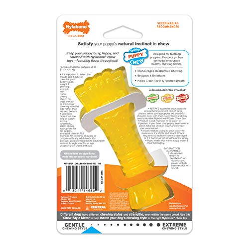 Nylabone 984680 Kühlender Kauknochen für Welpen, Lamm- und Apfelgeschmack, einfrieren zur Beruhigung des Zahnfleisches beim Zahnen, Größe S (bis 11 kg ohne ausgewachsene Zähne), 70 g