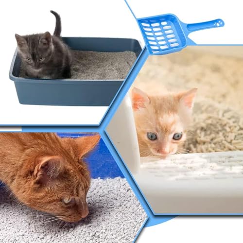 Wxinsheng Katzenstreu Schaufel,3 Stück Katzenstreuschaufel,Katze Wurf Scoop,Katzenstreu Scooper,Katzenstreu Schaufel,für Reinigung Katzenklo Katzen Hunde Pooper Scoope