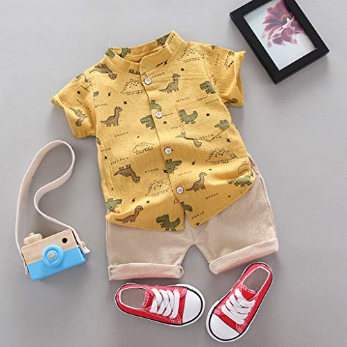 Eoailr Conjunto de camisetas e shorts de dinossauro de verão com desenho de dinossauro, roupas para