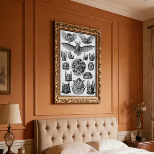 Chiroptera impression sur toile Ernst Haeckel 30,5x45,7 cm