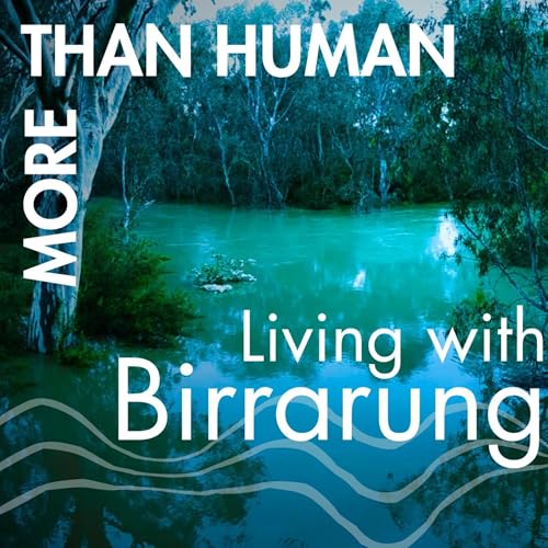 Introduction to More Than Human