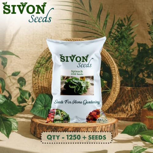 Image of SIVON Spinach (Palak /Poi Sagh) (1250+ Seeds) Vegetable Seeds for Home Garden, Organic & Hybrid, Perfect for Home Gardening, Planting For Pots and Patio