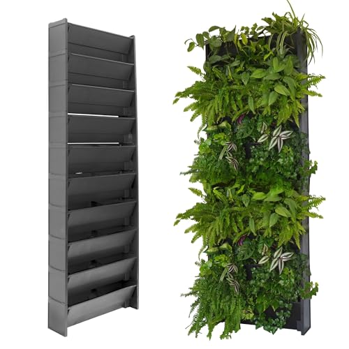 evertia giardino verticale, vasi per giardini verticali interni ed esterni, orto verticale, irrigazione semiautomatica (10 vasi)
