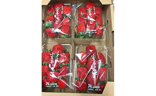 [ 小豆島 ][3月からの発送]小豆島のいちご(女峰)230g×4パック 果物類 苺 イチゴ