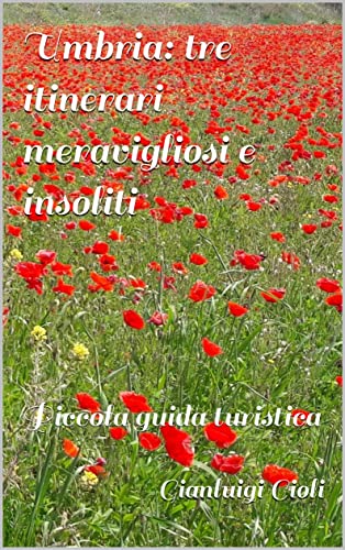 Umbria: tre itinerari meravigliosi e insoliti (Italian Edition)