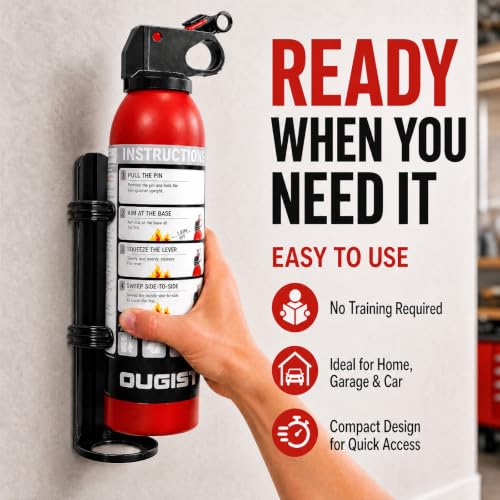 Small Fire Extinguisher 2-Pack