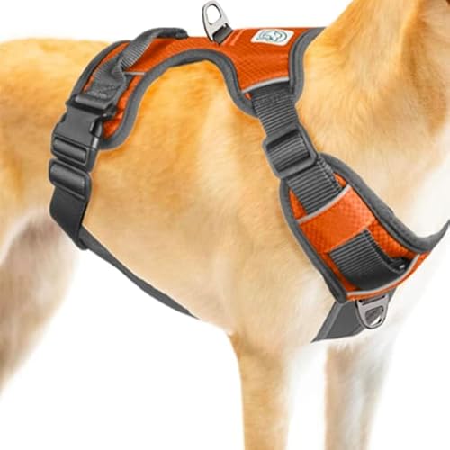 Embark Adventure Xl Dog Harness No-Pull Dog Harnesses For Extra Large, Medium And Small Dogs. 2 Leash Clips, Front & Back With Control Handle, Adjustable Orange Dog Vest, Soft & Padded For Comfort #TOP8