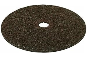 Rocky Mountain Radar: Optimizing Tree Health and Aesthetics