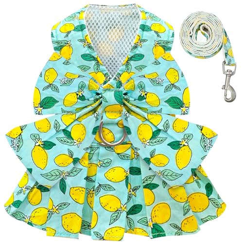 BAEJMJK Dog Dress Bowknot Harness Leash Set for Small Dogs Cats Girl Floral Princess Dog Dresses Cute Puppy Fruit Clothes Pet Doggy Outfits Spring Summer Breathable Dresses(Green,Large)