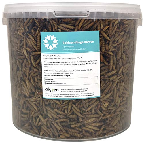 algova Hermetia Soldatenfliegenlarven getrocknet - Alternative zu getrockneten Mehlwürmern - Futter für Zierfische, Teichfische, Zier-Vögel, Reptilien (5L = 1,6kg) Cover