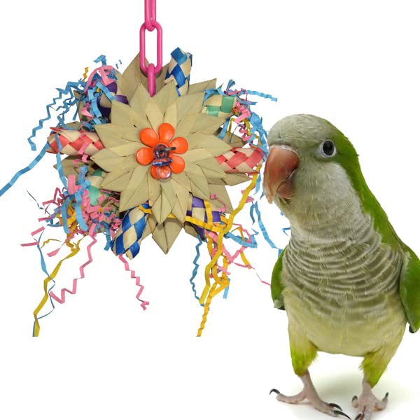 Super Bird Creations Pinwheel Medium Caiques Conures Quakers Ring necks Chew