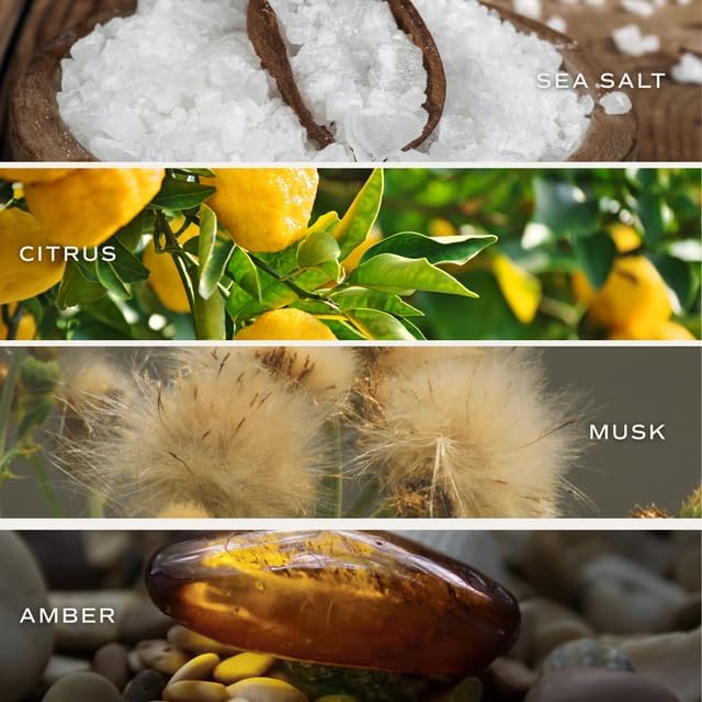 Sweet Water Decor Smells Like She’s Playing Mahjong Candle, Funny Mahjong Gift for Women, 9oz Candle with Gold Lid, Sea Salt Citrus Musk Amber Scent, Non-Toxic Soy Wax, Unique Game Night Gift Idea - Image 4