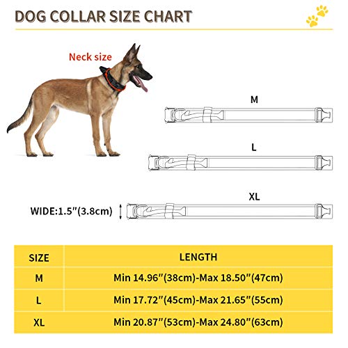 Huntvp taktisch Hundehalsband Verstellbar mit Kontrollgriff, aus Nylon, gepolstert, Metallschnalle, für Mittlere Große Hunde Jagd Training Freizeit Outdoor, Schwarz M