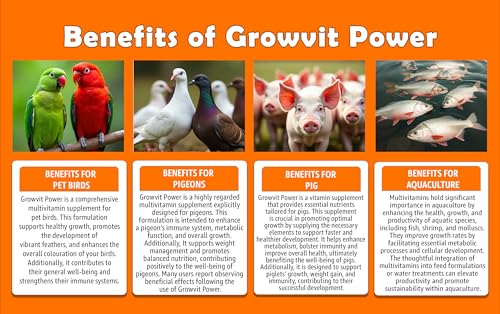 Image of Growel Agrovet Growvit Power Multivitamin Supplement for Poultry, Cattle, Goats, Sheep, Horses, Pigs, Pigeons, Pet Birds & Aquaculture | Supports Growth, Immunity, Energy & Overall Health - (1000 ml)