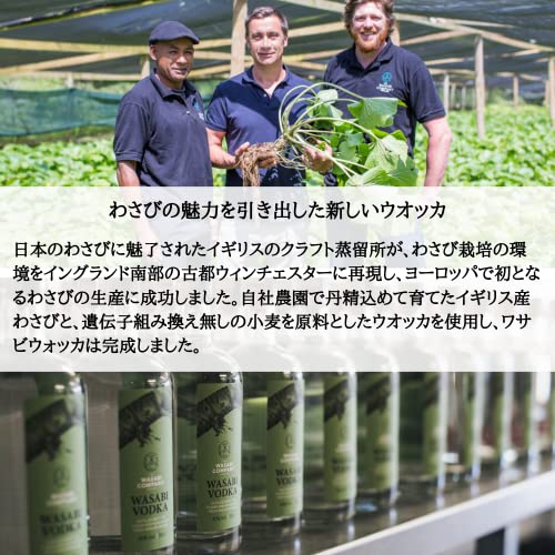 ワサビウォッカ(WASABI VODKA) ワサビ ウォッカ [ ウォッカ イギリス 500ml×1本 ] 3枚目