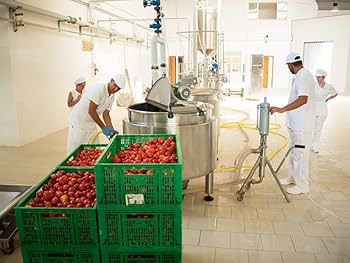 Amazon.co.jp: イタリアシチリア ヴァルディベッラ パッサータ