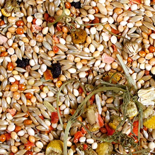 JR FARM Birds Individual Wellensittich 1 kg