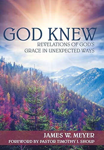 God Knew: Revelations of God's Grace in Unexpec... 1490865659 Book Cover