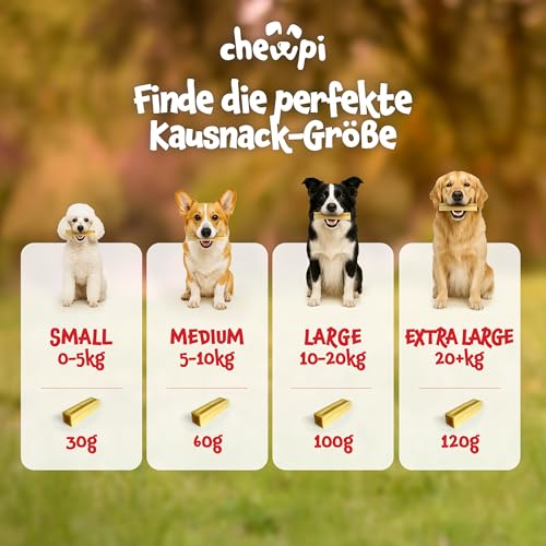 Kaukäse für Hunde L - 2er-Pack - 100% Natürliche Käsestangen für Hunde - Käseknochen Hund mit Langer Kauzeit - Unterstützt die Zahnpflege - Ideal für Starke Kauer - Chewpi