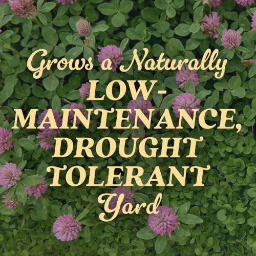 Image of O.M. Scott & Sons Strawberry Clover Seed, 2 lbs. (2-Pack)