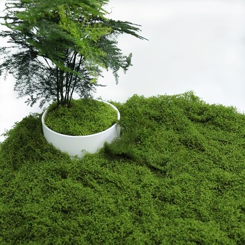 VOSSOT Musgo artificial, musgo artificial para decorar, musgo decorativo para manualidades, musgo conservado, para decoración navideña, floristería, musgo conservado, como decoración o para
