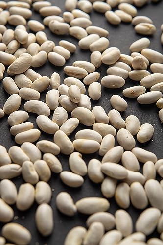 Bioself Fagioli Bianchi Cannellini BIO, Ricchi