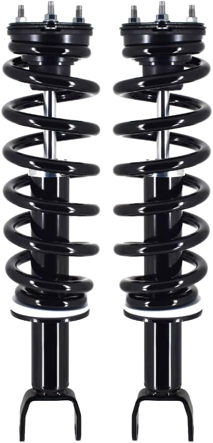 PM Auto Pair Front Quick Complete Strut with Coil Spring for Ram 1500 (Front)