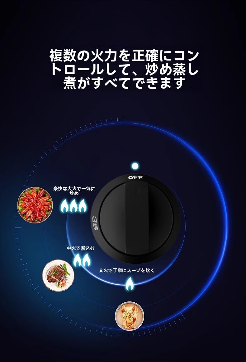 Amazon | LPYROSE ガスコンロ 2口 都市ガス/プロパンガス対応 自動消火