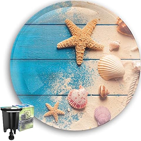 M. ROSENFELD HOME Universal Sink Plug with Starfish Motif Cover