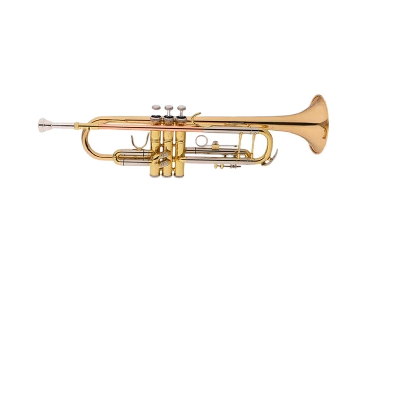 Trumpet Trompeta en si bemol de calidad profesional