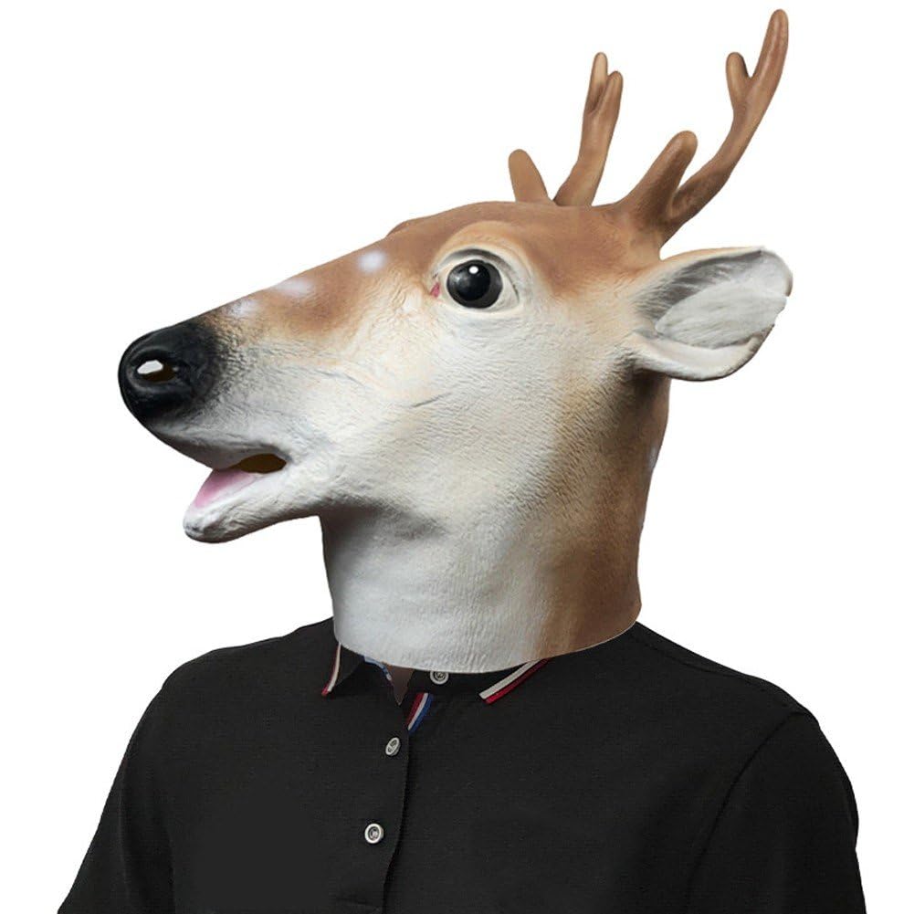View 4