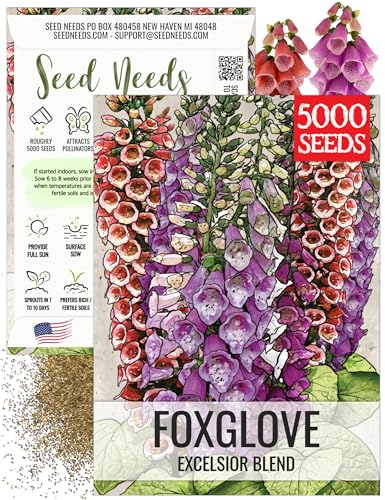Seed Needs Foxglove Seeds for Planting Excelsior Blend 1 Pack