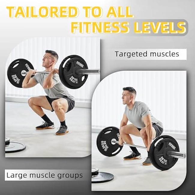 Cast Iron 2-Inch Olympic Plate Weight Plate for Strength Training and Weightlifting, Multiple Sizes