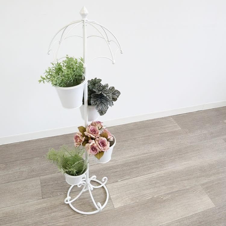 掛け軸 白雲 達磨大師 絹本 希少 軸装 茶道具 掛軸 です。 掛け軸