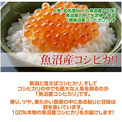 Amazon.co.jp: [精米] 最高級銘柄 南魚沼産コシヒカリ 5kg(1kg×5袋) 令