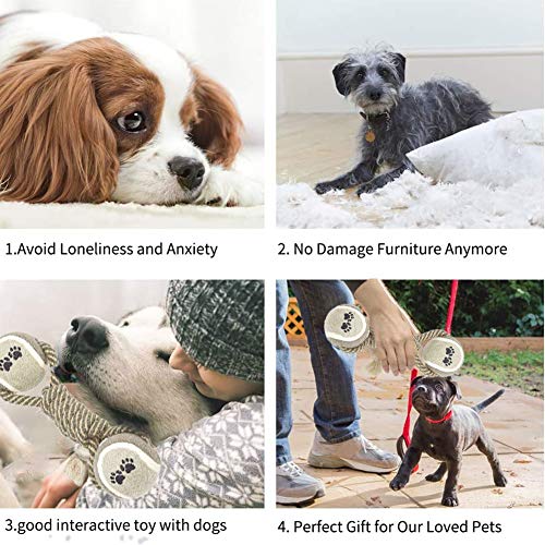 Gioco Cane, Giochi da Masticare Resistenti per