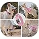 OneTigris Hunde Halsband mit Metallschnalle für Hunde Rosa L