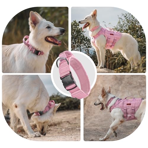 OneTigris Hunde Halsband mit Metallschnalle für Hunde Rosa L