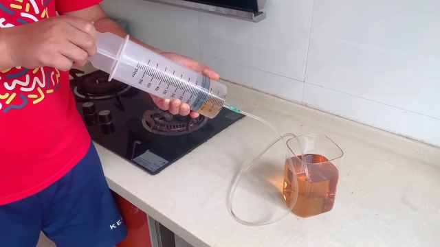 Siringa grande 300/350/500ml Siringa liquida riutilizzabile con catetere Siringa plastica di grande capacità per laboratorio, industriale, giardinaggio e animali domestici | IT