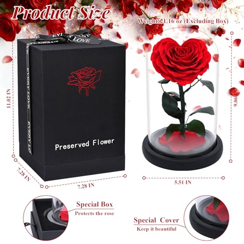 Rosa roja preservada en forma de corazón con cúpula de cristal miniatura 3