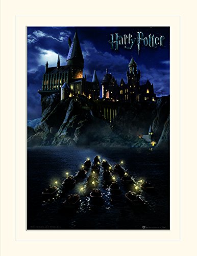 Pyramid International Harry Potter Hogwarts School Mounted Print Memorabilia, Multi-Colour, 30 x 40 x 1.3 cm