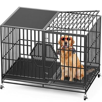 CAMMOO 48'' Heavy Duty Dog Crates for Large Dogs – Escape-Proof Dual Top Fences, Reinforced Square Tube Frame, Dog Kennel Indoor, Easy-Clean Split Floor, Extra-Wide Door, Dog Cage for High Anxiety Dog