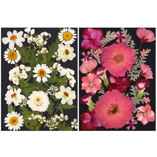 Flores Secas Naturales Prensadas para Resina Epoxi Set miniatura 5