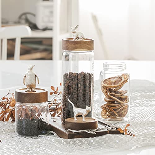 Rangement de grains de café en pot de verre 800ml avec couvercle